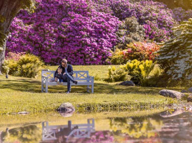 Eintrittskarten für den Sofiero-Park und das Schloss