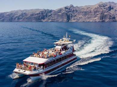 4,5-stündige Royal Dolphin-Kreuzfahrt im Norden