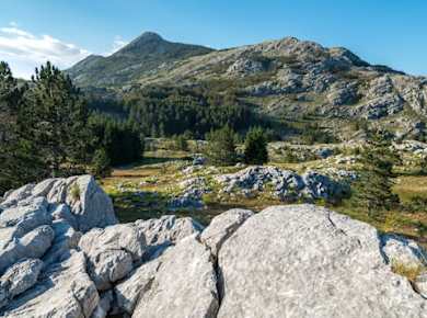 Ganztägige private Tour durch den Lovćen-Nationalpark und die Stadt Budva