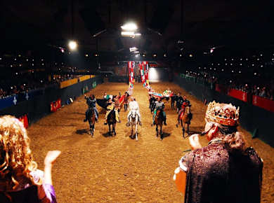 Tenerife Medieval Show Ticket