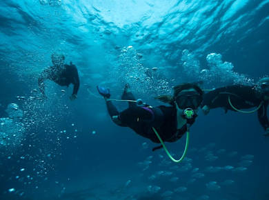 Lobos Island Peter Diving Experience
