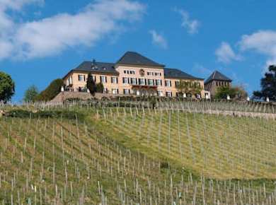 Rheingauer E-Bike Tour