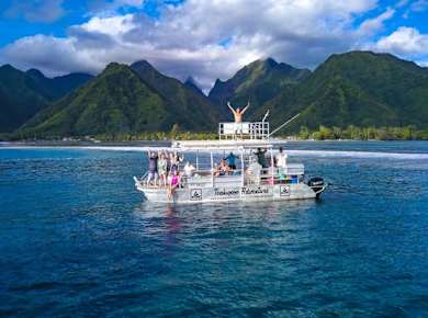 Tahitian peninsula sightseeing tour