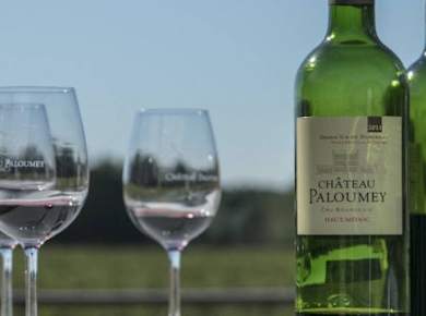 Einführung in die Weinprobe im Château Paloumey
