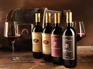 Premium-Weinprobe im Weingut Terre del Marchesato