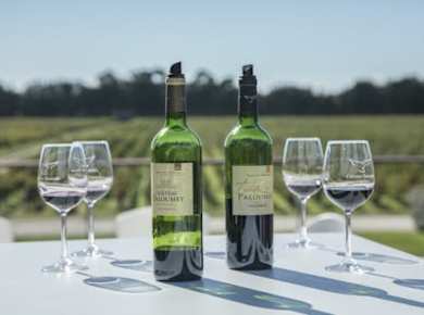 Gourmet tour and wine tasting at Château Paloumey