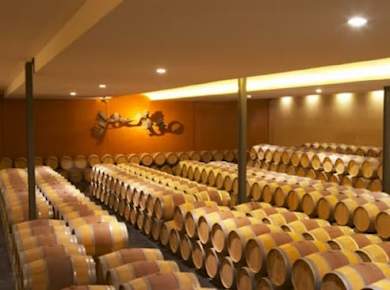 Blinde vertikale Tour und Verkostung im Château Paloumey