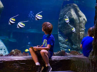 SEA LIFE Munich tickets