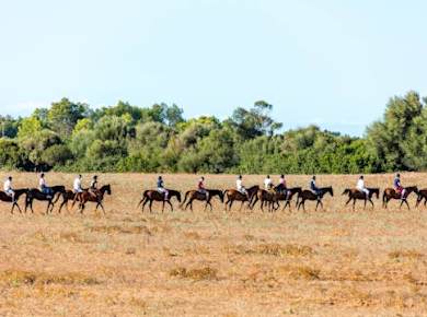 Rancho Grande two-hour horse ride with transfer