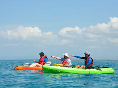 Half-Day Biesanz Bay Kayak & Snorkel Tour with Transport