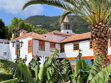 Casa del Platano Banana Experience