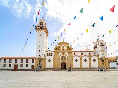 VIP Tour La Laguna