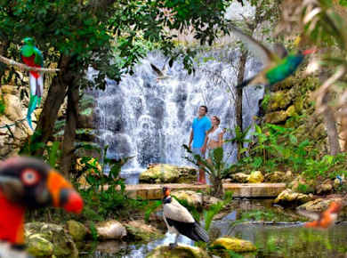 Archäologischer Park Xcaret Ticket