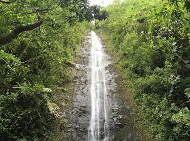 Geführte Wanderung durch den Regenwald von Oahu