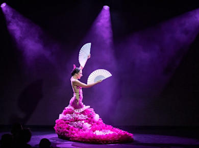 Olé Flamenco Show