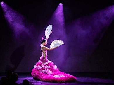 Olé Flamenco Show