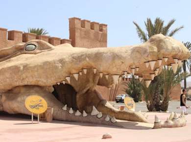 Crocoparc-Besuch ab Agadir oder Taghazout mit Eintrittsgebühren