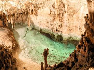 Drach Caves, Pearl Factory and Local Market Tour