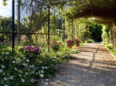 Soller Botanical Garden Ticket
