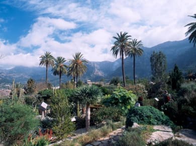 Soller Botanical Garden Ticket