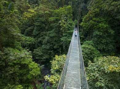 Arenal-Hängebrücken-Wanderung