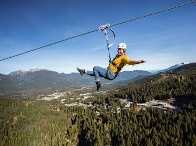 Bären-Zip-Tour in Whistler