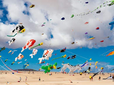 Transfer zum Internationalen Drachenfestival in Corralejo – 15.11.2026