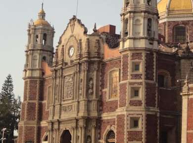 fareharbor-amigotoursmexico|236515-429713