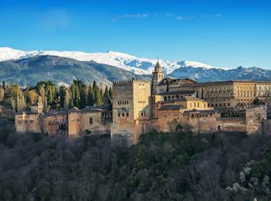 Alhambra y Generalife Tour Premium in Español