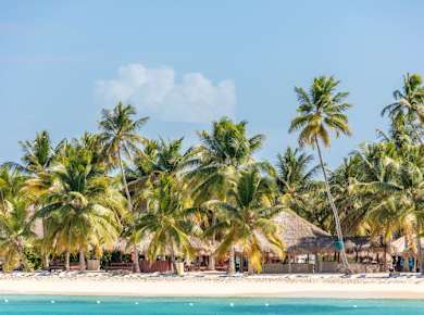 Saona Island Tour with Abanico Beach and Lunch