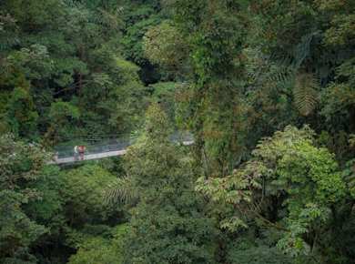 Arenal Hängebrücken & La Fortuna Wasserfall