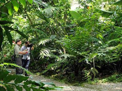 Ecological Park and Butterfly Garden Danaus Morning