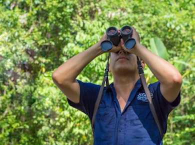 Sloth Watching Tour