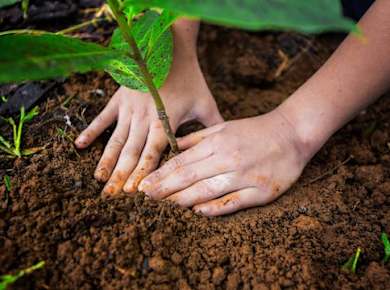 La Tigra Forest Tree Planting & Agro-ecological Farm Tour