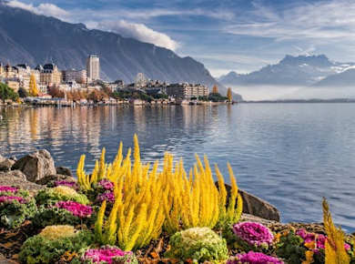Rundgang durch die fotogensten Orte von Montreux mit einem Einheimischen