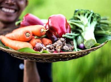 Die Küche Balis Privattour und Kochkurs