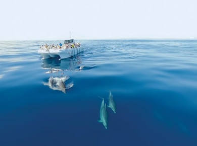 Delfinbeobachtung und geführte Bootsfahrt zu den Benagil-Höhlen