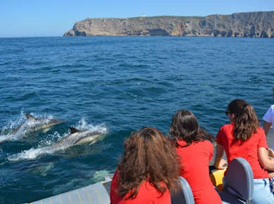 Bootstour mit Delfinbeobachtung in Sesimbra