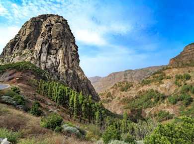 Garajonay National Park sightseeing tour with local lunch