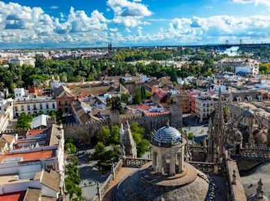 Guided tour of the Cathedral and the Royal Alcázar of Seville