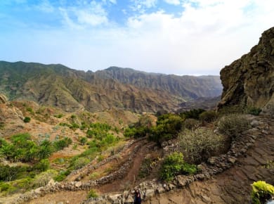 Garajonay National Park Tour with Local Lunch