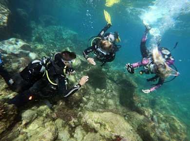 Zeus Gran Canaria Scuba Diving oder Open Water Diving Kurs