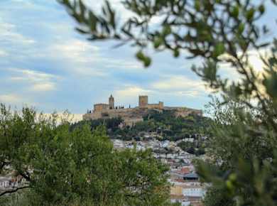 Eintrittskarte für die Festung La Mota mit Audioguide