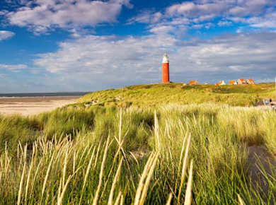 Tagesausflug zur Insel Texel mit Führer