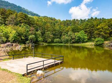 Doi Inthanon National Park Small Group Tour
