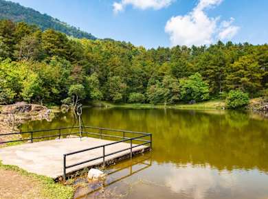Private Doi Inthanon National Park Tour