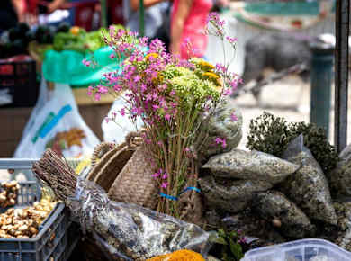 Faro, Olhão & Tavira Tour with Fado