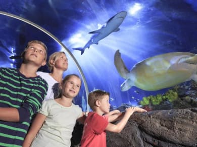 SEA LIFE Timmendorfer Strand Tickets