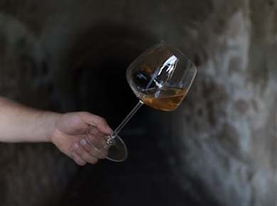1-stündige Führung durch das Weingut der Orsini-Festung mit abschließender Verkostung