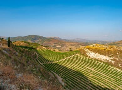 Private Tour durch das Herz Kretas und Weinprobe